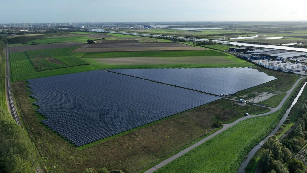 Zonnepark Sas van Gent