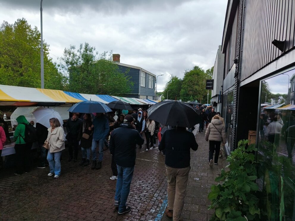 Oldtimerfestival Axel - Leen Oele 20.jpeg