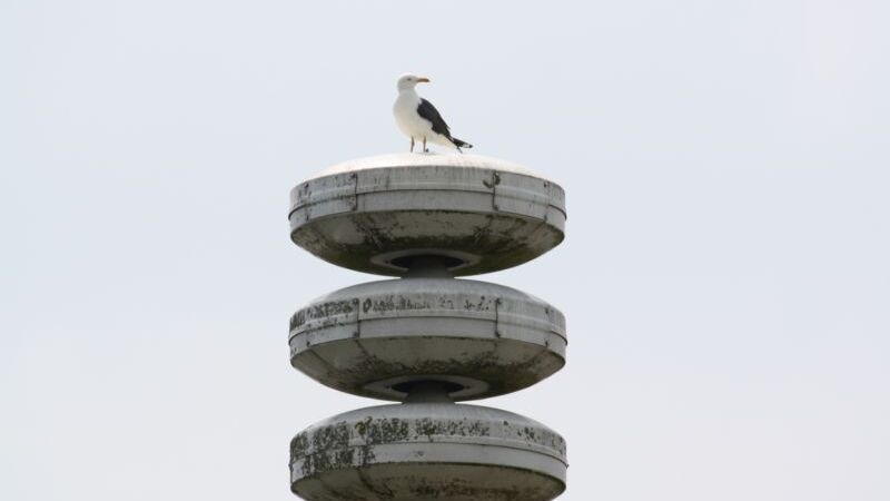 Alarm sirene luchtalarm