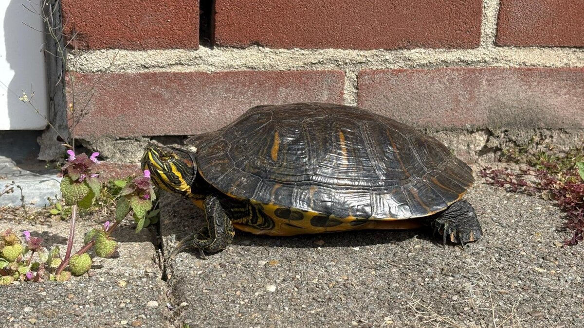 WhatsApp Image 2026-04-12 at 2.12.25 PM (1).jpeg