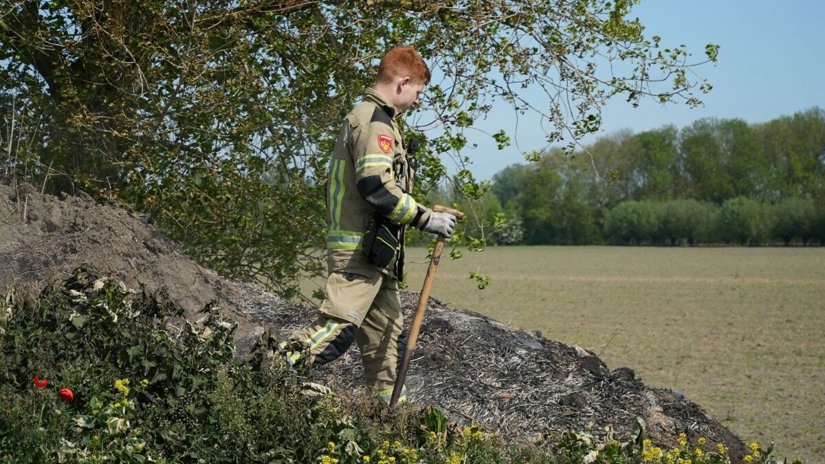 Stapel snoeiafval Axel_1.JPG