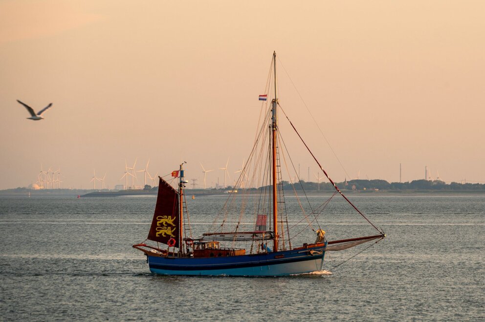Tall Ships - Eugene Kruisse 14