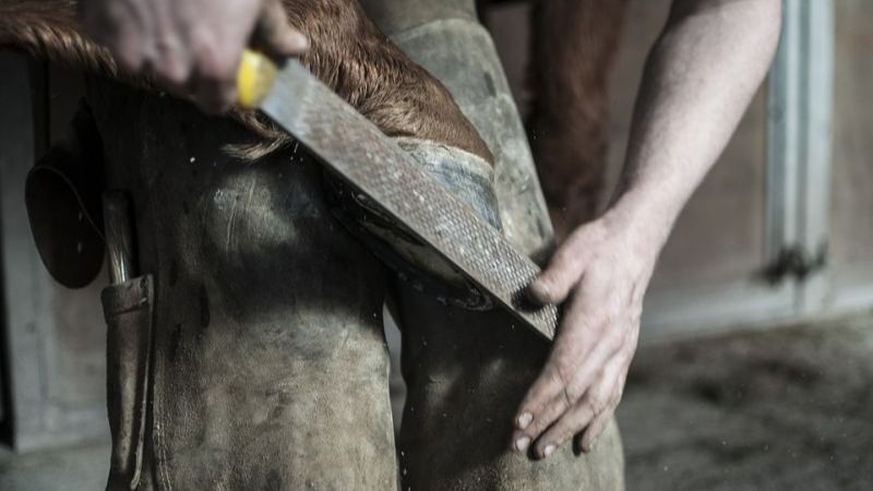 tPDKUiPhLCDGZxhl3BHAYvDrjQQidPvYMNxCUiiU.jpg