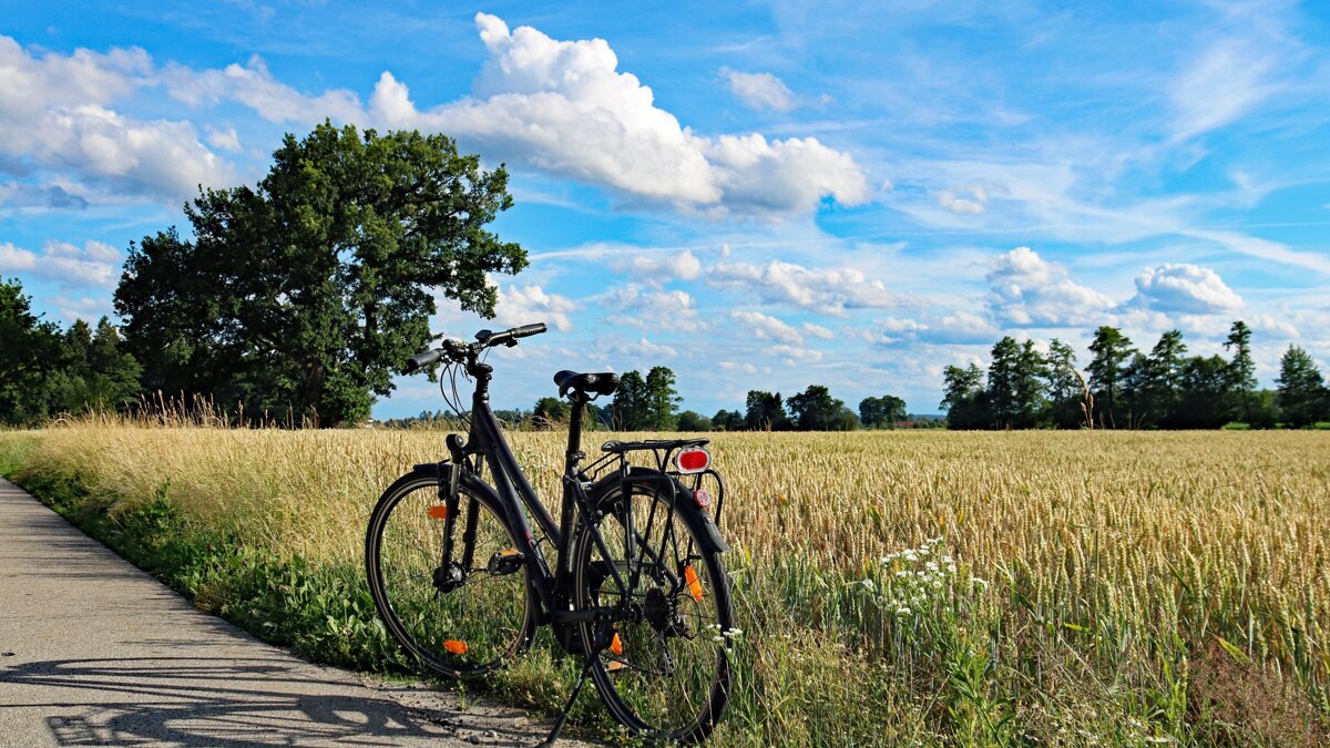 fiets fietstocht pixabay
