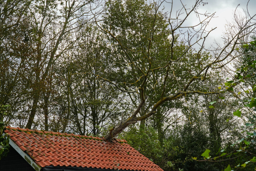 DSC02619