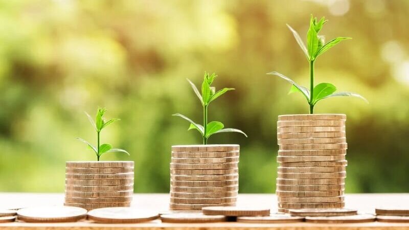 geld groeien plantje