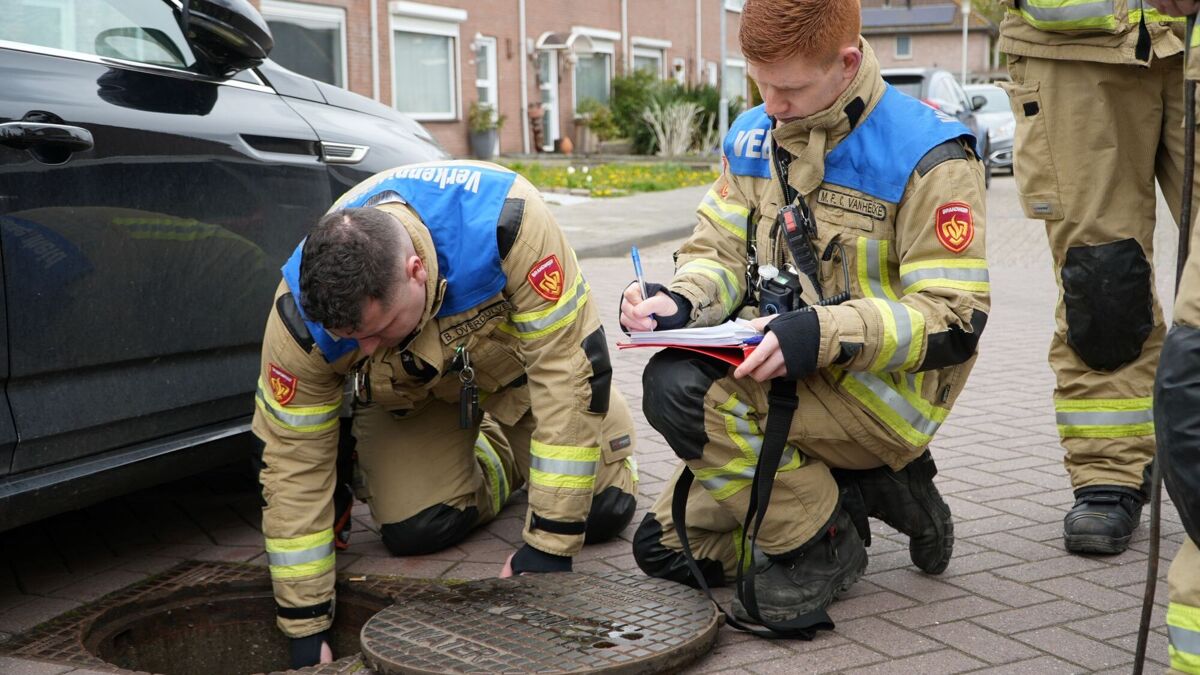 Foto_5_Stank-hinder Westdorpe_2026.03.29.JPG