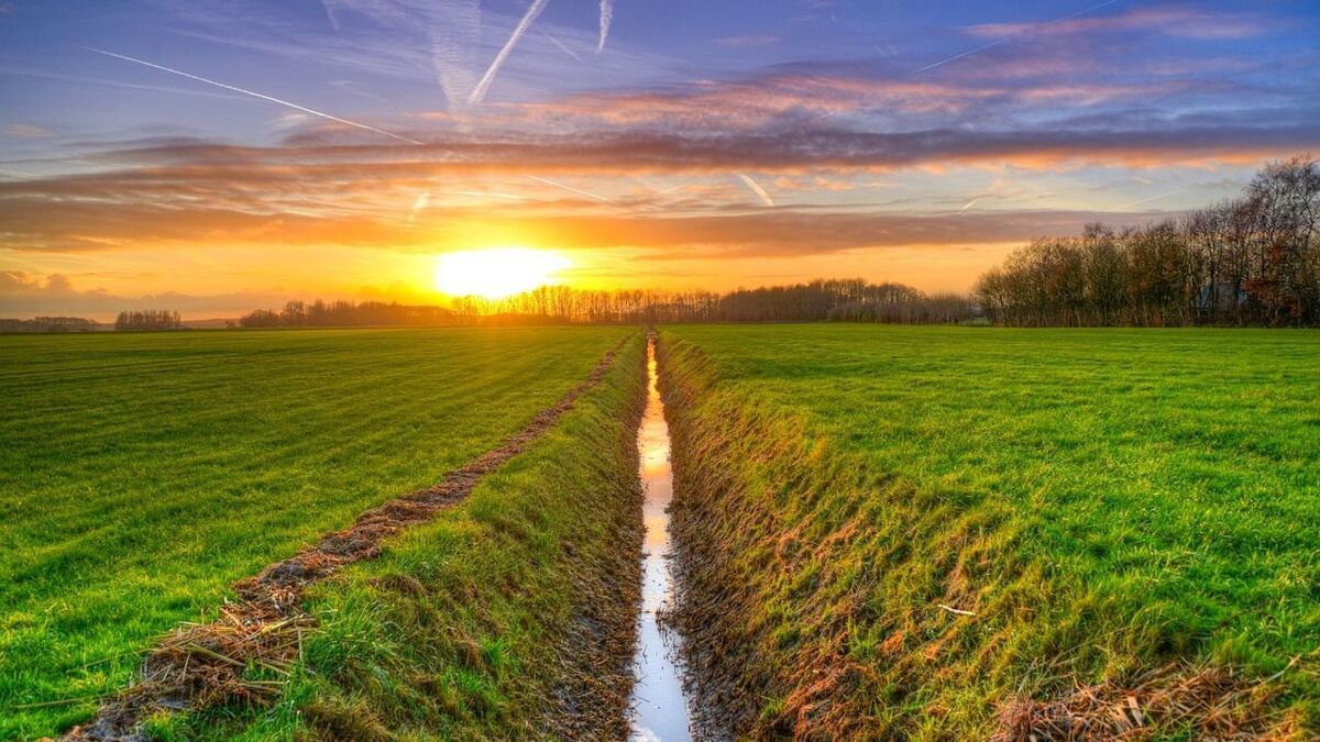 Landschap.jpg