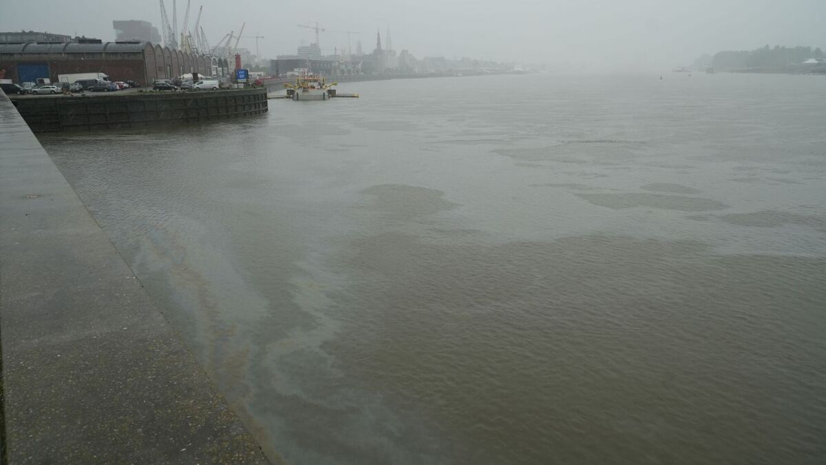 Foto_8_Olie lekt schelde in na zinkend schip_2026.04.17 .JPG