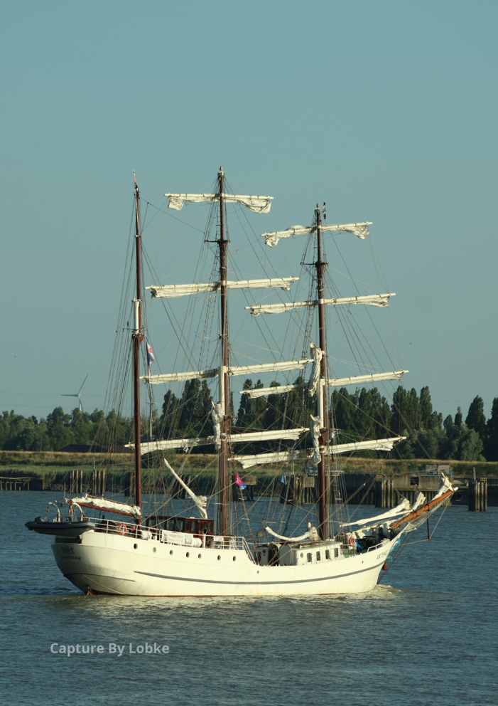 Tall Ships Artemis - Kallo (BE) - Lobke Kessels
