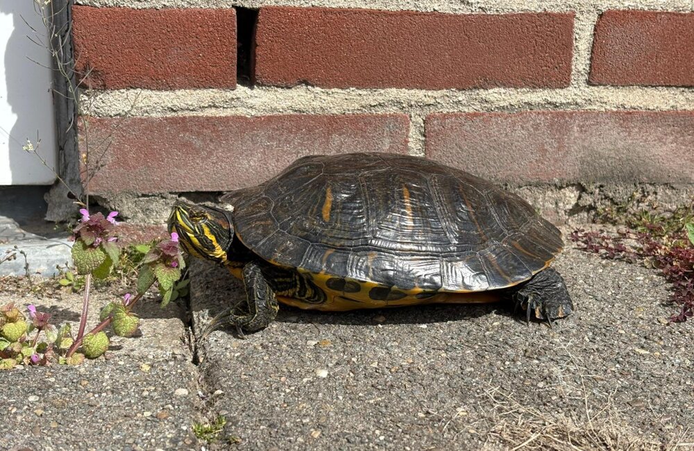 WhatsApp Image 2026-04-12 at 2.12.25 PM (1).jpeg