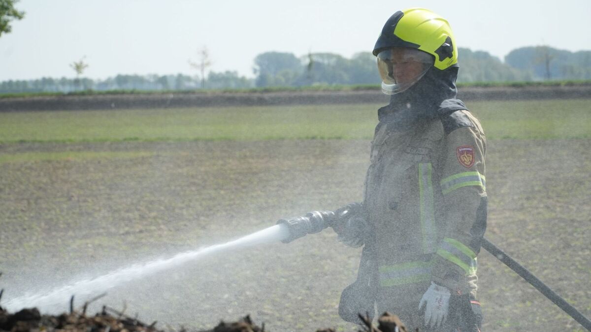 Stapel snoeiafval Axel_2.JPG