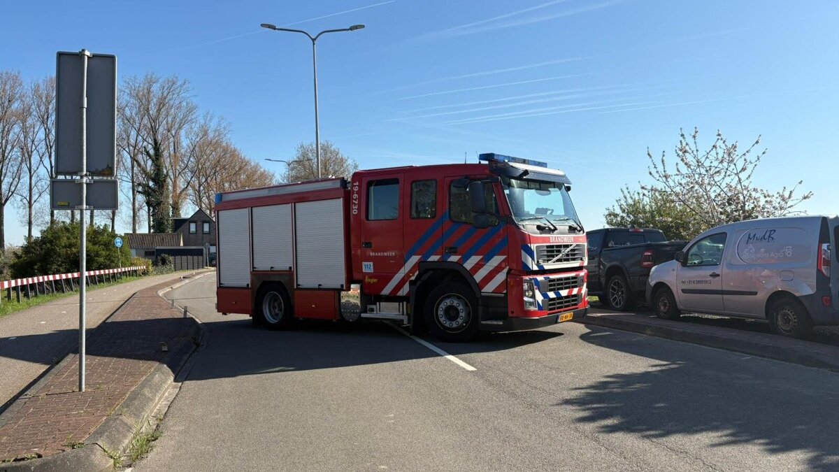 WhatsApp Image 2026-04-08 at 12.45.47 PM (1).jpeg