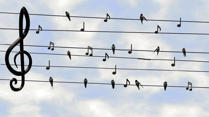 muziek noten lucht.jpg