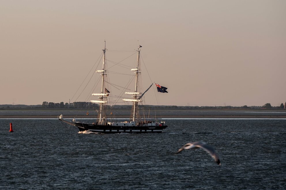 Tall Ships - Eugene Kruisse 27