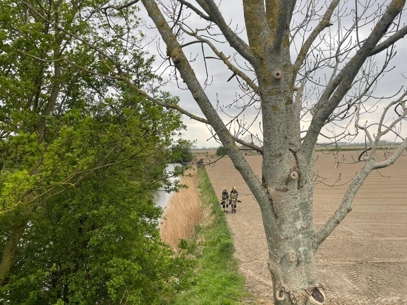 Rietbrand bij Hengstdijk, brandweer zet vuurzwepen in