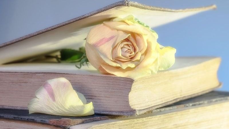 Boek met bloem.jpg