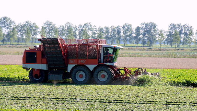 landbouw provincie zeeland