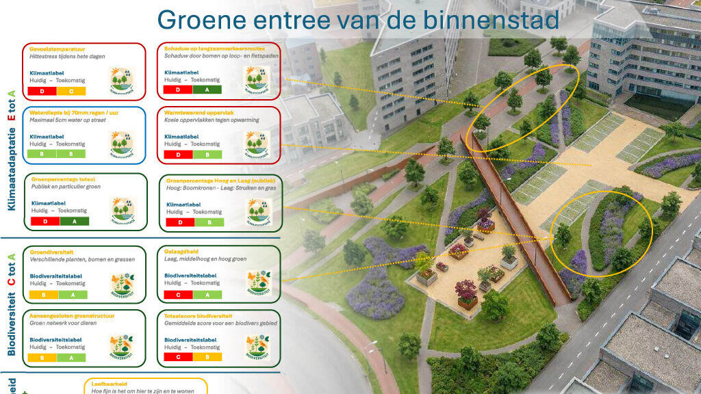 Herinrichting Axelsedam.jpg