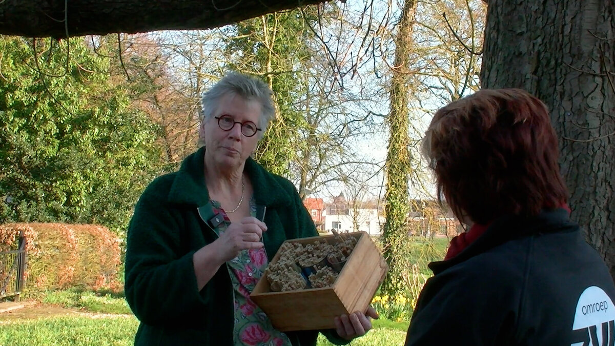 Buitengewoon insectenhotel.jpg