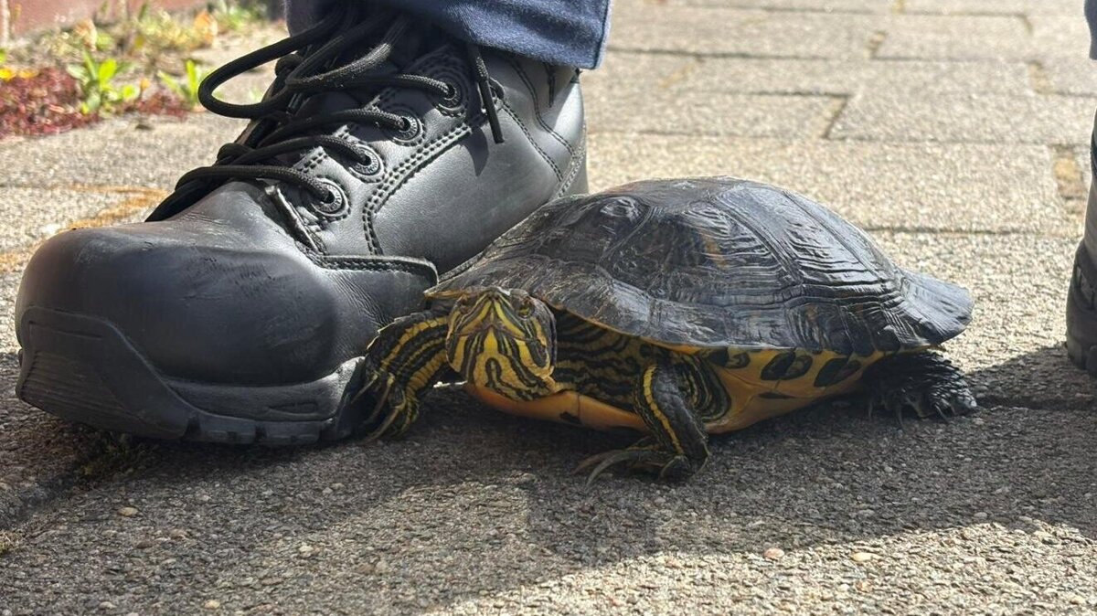 WhatsApp Image 2026-04-12 at 2.12.26 PM.jpeg