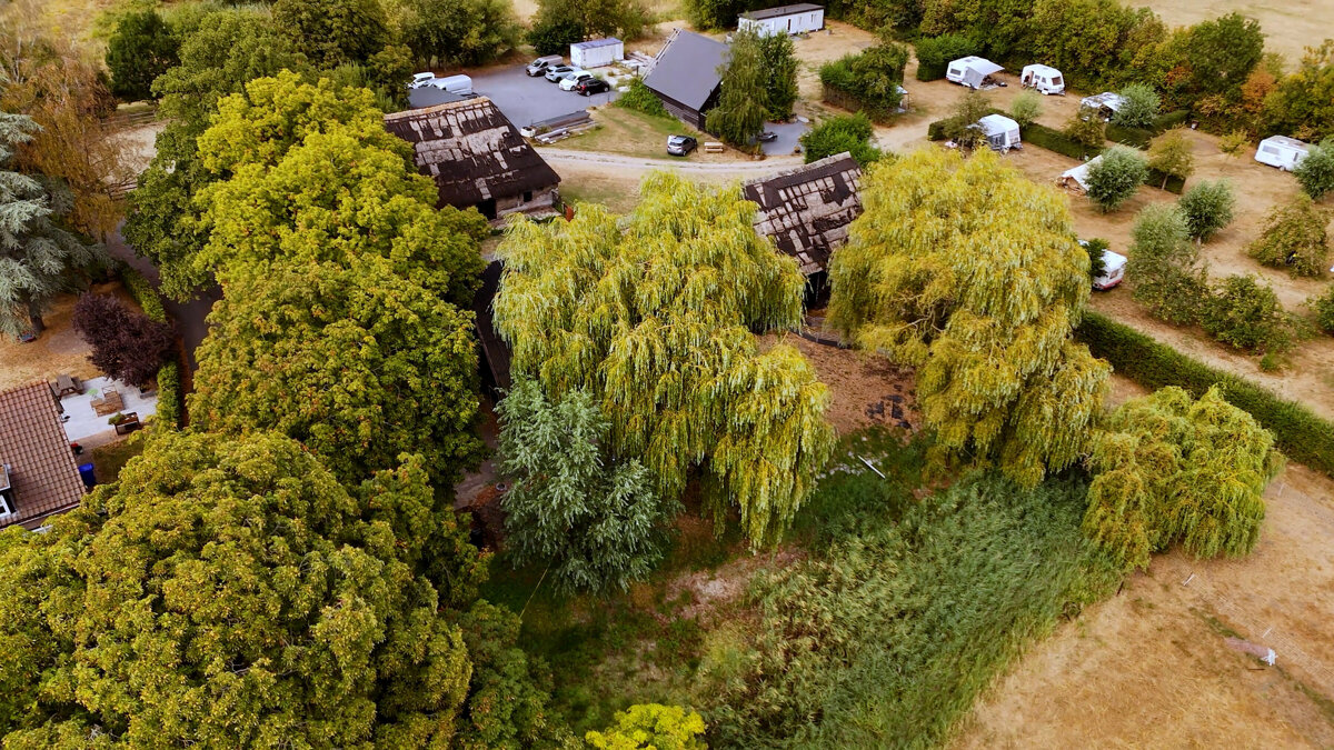 Hof van Autriche restauratie 2