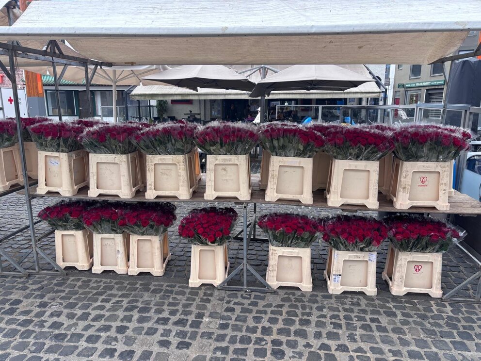Ride for the Roses 29