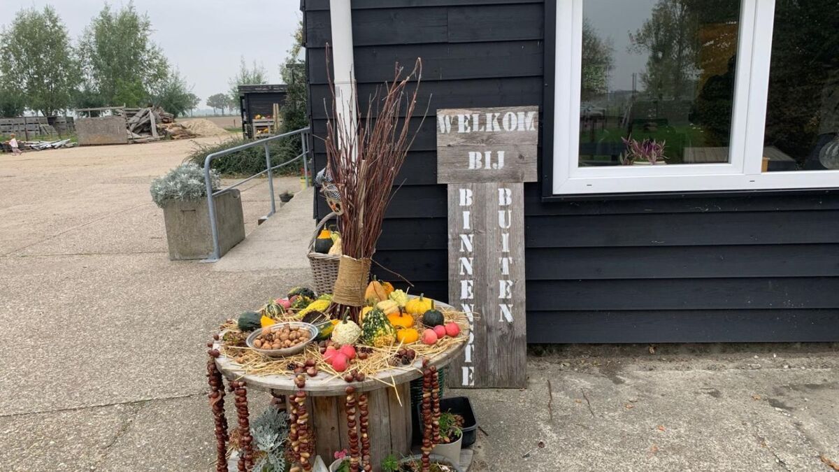 97jizwuSlspbpsPhzAVcj6aBnwlRGnNIwpVKs5ha.jpg