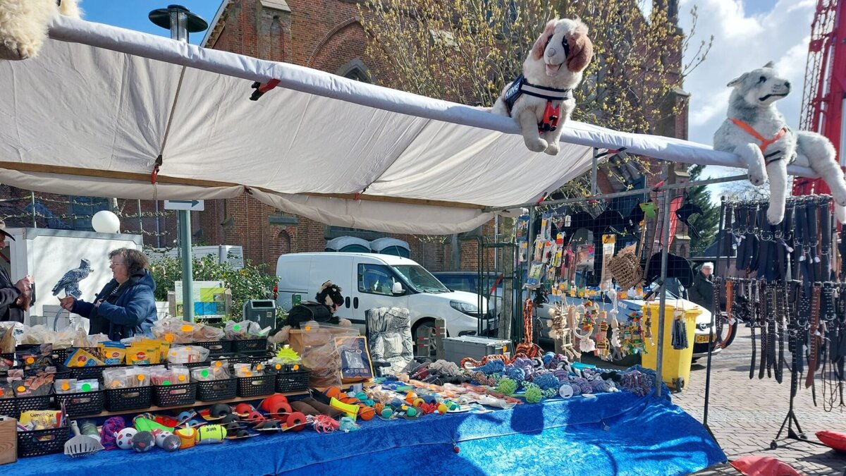 Jaarmarkt Sint Jansteen 2026 6