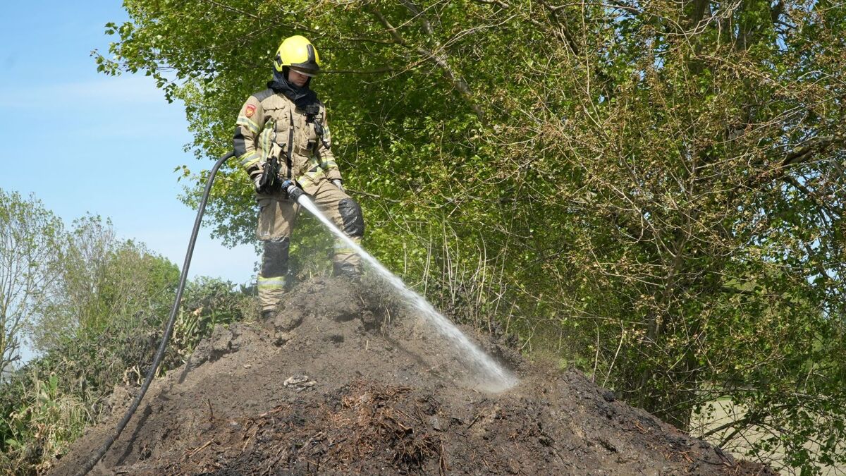 Stapel snoeiafval Axel_7.JPG