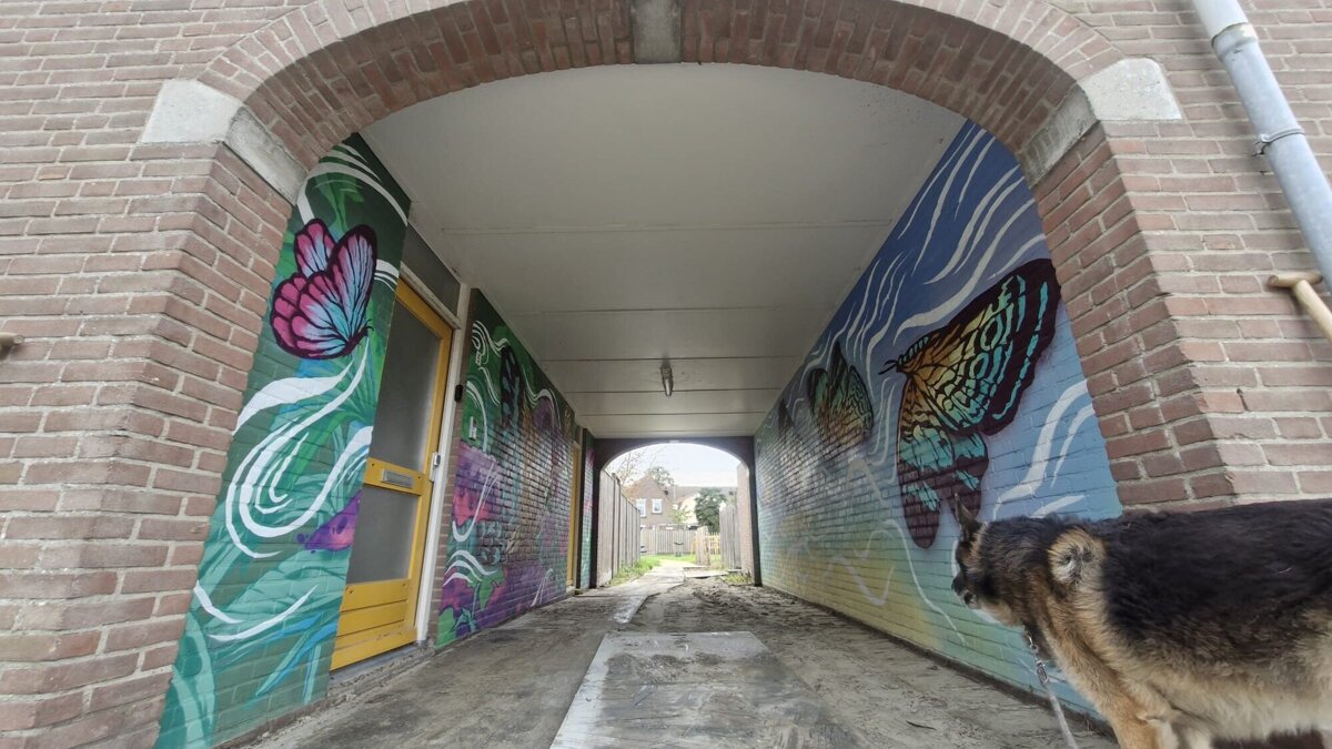 poortjes boogjes binnenstad Terneuzen (1)