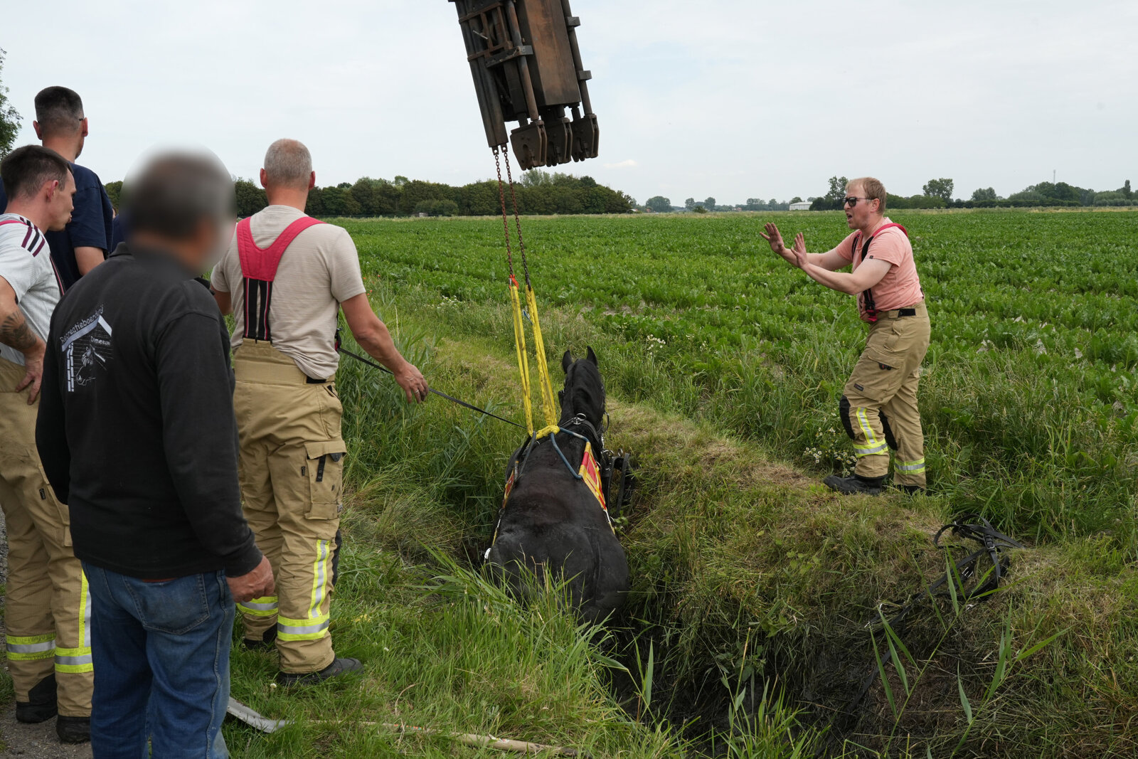 Paard in sloot Ossenisse_3