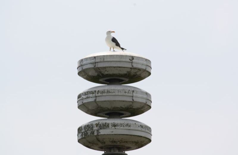 Alarm sirene luchtalarm