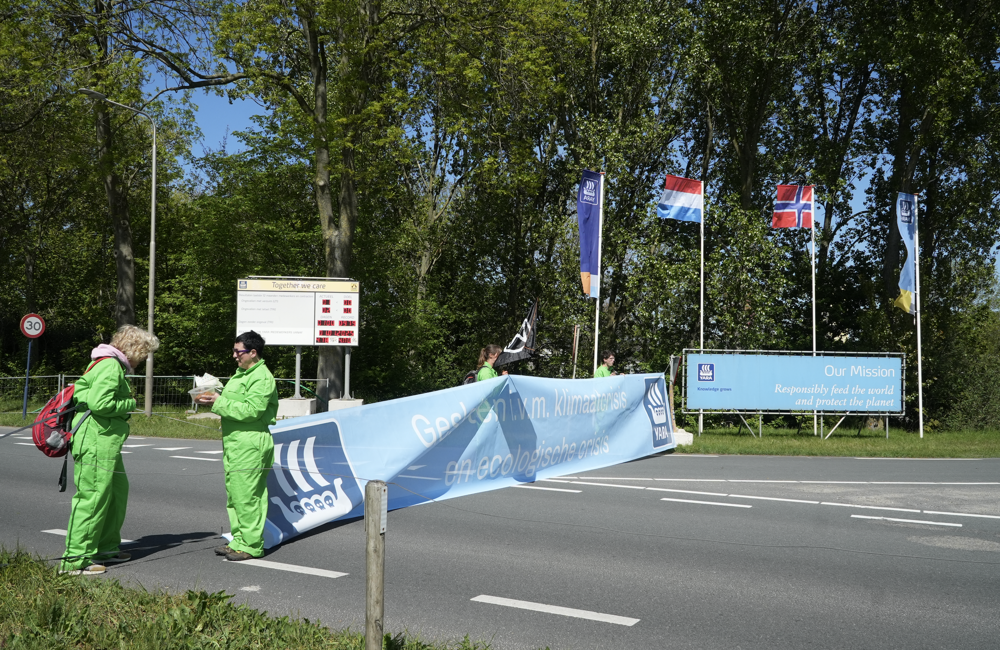 XR Yara 20260424 7.png