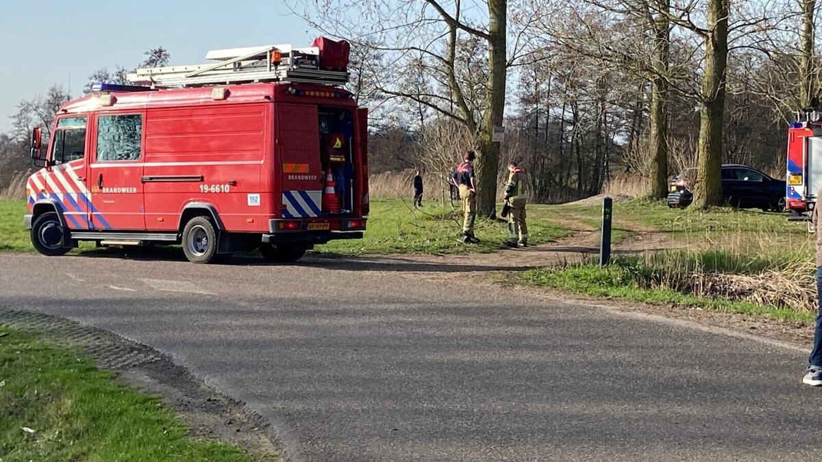 WhatsApp Image 2026-03-09 at 3.28.54 PM.jpeg