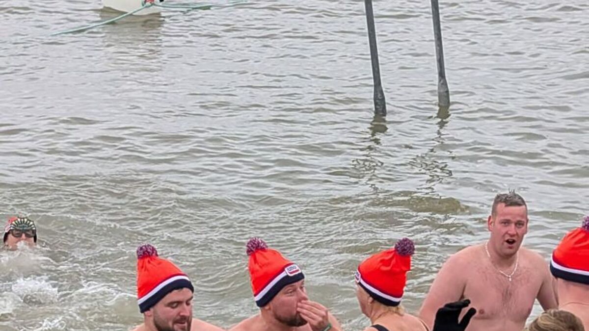 Nieuwjaarsduik.jpg